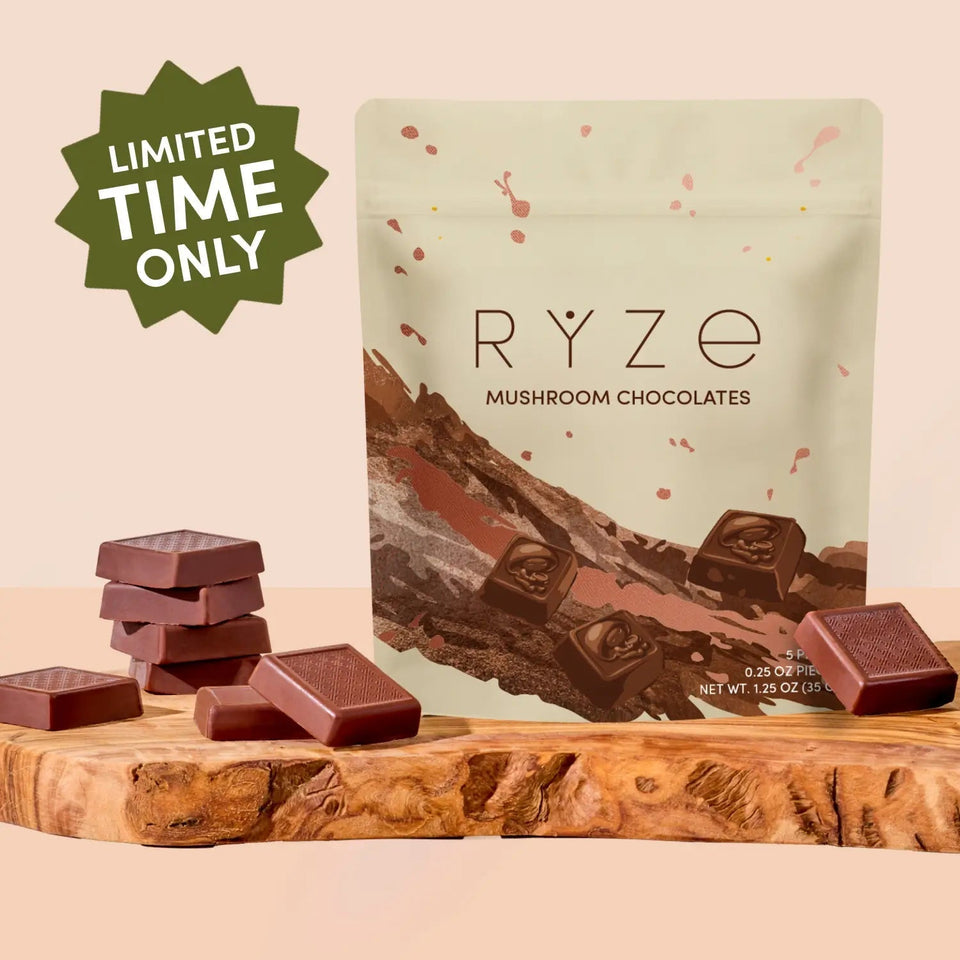 Mushroom Chocolates Rye (15 pieces) - Bright Mushroom Set